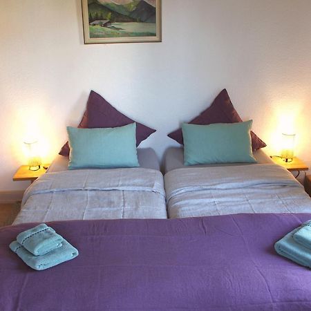 Combles & Vous Apartment Colmar Ngoại thất bức ảnh