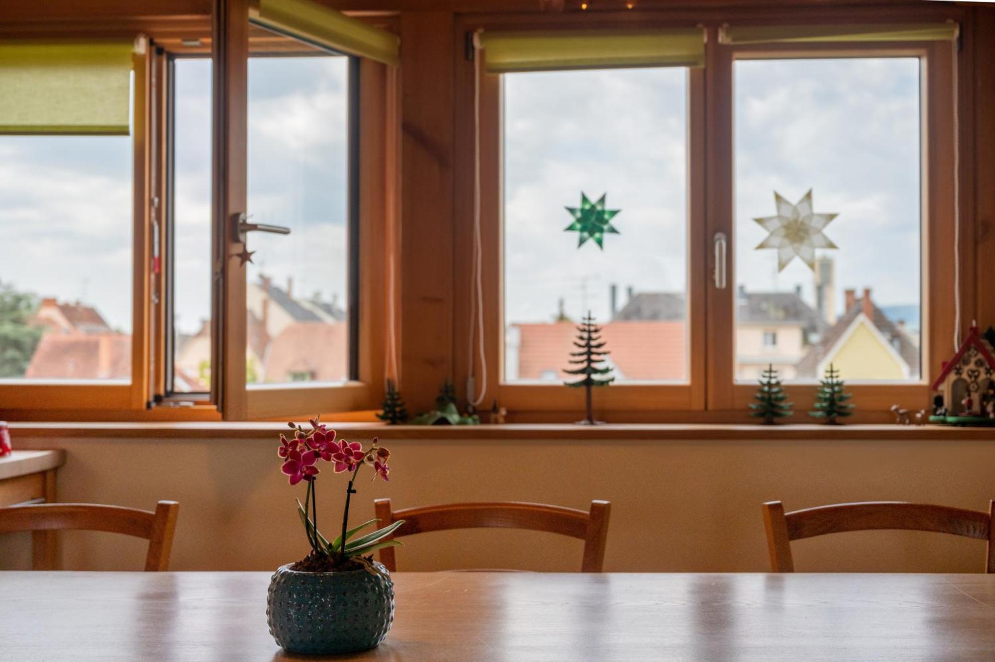 Combles & Vous Apartment Colmar Ngoại thất bức ảnh