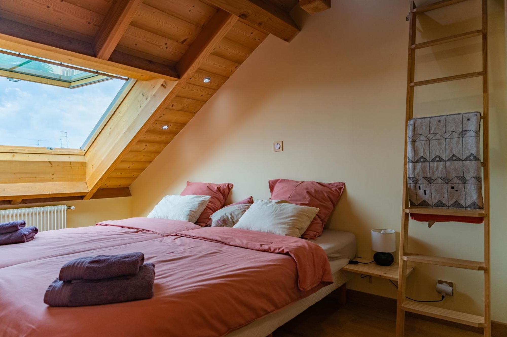 Combles & Vous Apartment Colmar Ngoại thất bức ảnh